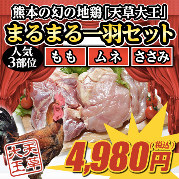 幻の地鶏、熊本の天草大王 exclusive