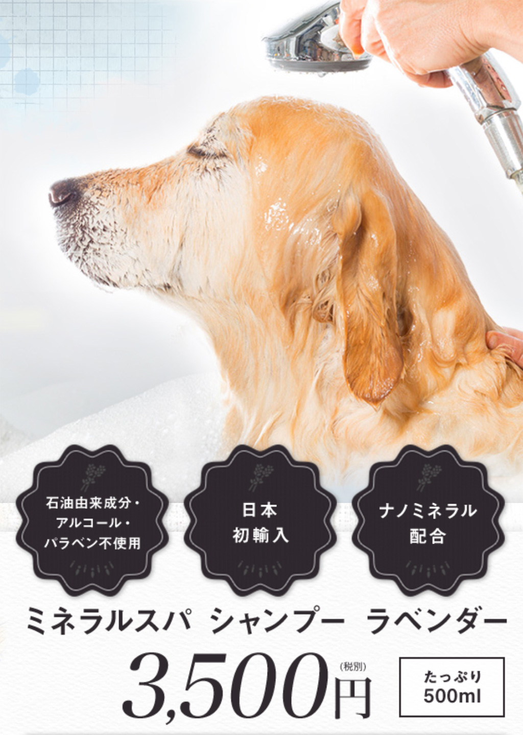 ペット大国アメリカ発のナノミネラル配合・安心安全の犬用シャンプー、ミネラルスパシャンプー exclusive